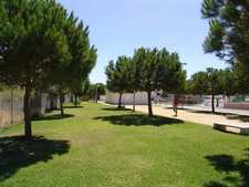 LA DELEGACIÓN DE PARQUES Y JARDINES PROYECTA CREAR UN PARQUE PARA PERROS EN CRUCERO BALEARES