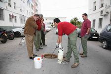 LA DELEGACIÓN MUNICIPAL DE SANIDAD LLEVA A CABO UNA CAMPAÑA DE DESRATIZACIÓN Y DESINFECCIÓN EN TODA LA VILLA