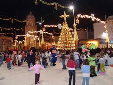 LA DELEGADA DE FIESTAS PONE EN MARCHA LA \