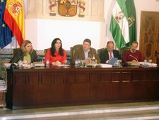 EL PLENO DA LUZ VERDE PARA QUE EL AYUNTAMIENTO SE HAGA CON LA PROPIEDAD DE LOS VIALES DE LA URBANIZACIÓN ROTAMAR