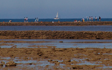 LA FUNDACION MUNICIPAL DE TURISMO Y COMERCIO PRESENTA SU PROGRAMA DE ACTIVIDADES PARA EL VERANO