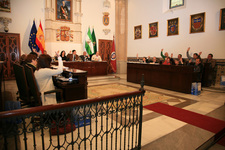 EL AYUNTAMIENTO ELABORARA UNA TASA FISCAL SOBRE TELEFONIA MOVIL PARA GRAVAR EL APROVECHAMIENTO DEL DOMINIO PUBLICO