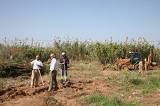 SERVICIOS MUNICIPALES VALLA EL ENTORNO NATURAL PRÓXIMO A LA ANTIGUA BATERÍA PARA PRESERVAR ESTA MASA FORESTAL    