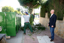 LA DELEGACIÓN MUNICIPAL DE PARQUES Y JARDINES INICIA LA PODA DE FICUS EN LA AVENIDA DE LA DIPUTACIÓN  