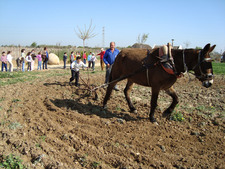 UNOS 160 ESCOLARES DE LA CIUDAD VISITAN EN ESTE MES EL CENTRO DE RECUPERACIÓN DE LA MAYETERÍA   