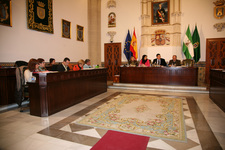 EL PLENO APRUEBA EL GASTO PARA QUE SE TERMINEN LAS OBRAS DEL COLECTOR QUE VA DESDE EL POLÍGONO INDUSTRIAL A LA FORESTAL