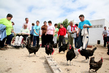 UN GRUPO DE DISMINUÍDOS PSÍQUICOS DE CAZORLA HAN VISITADO LAS INSTALACIONES DEL CENTRO DE RECUPERACIÓN DE LA MAYETERÍA